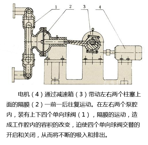 电动隔膜泵结构图