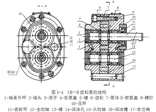 齿轮泵结构图